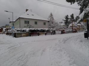 Penzion Diana Máchovo jezero