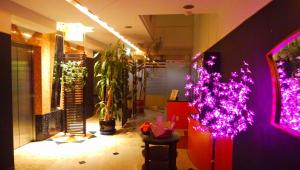 다카마쓰 / 다카마츠 LA.FESTA (Adult Only) 숙소 로비