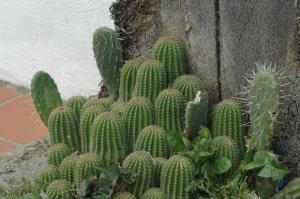 B&B La Terrazza img24