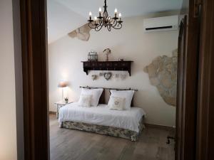 B&B / Chambres d'hotes B&B Villa Blanche : photos des chambres