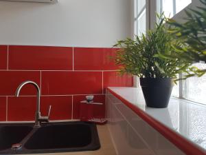 Appartements L'Imperatrice - en coeur de Bastide de Geaune : photos des chambres