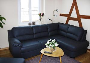 Ferienhaus Brockenbahnblick