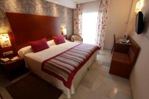 Double Room with Sea View and Balcony room in Hotel Balcón de Europa