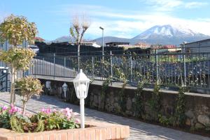 IL GIARDINO DEI GLICINI