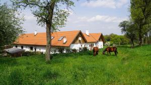 Apartmán CHALET "NOTSCHKERL" IM VIERKANTHOF Waasen Rakousko