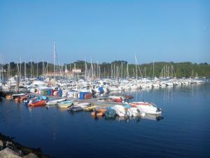 Appartements Gite de la Mer sur le port de plaisance de Lezardrieux Bretagne : photos des chambres