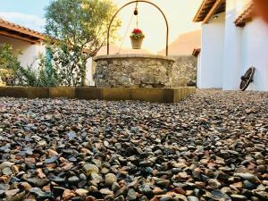 Centu Concas img10