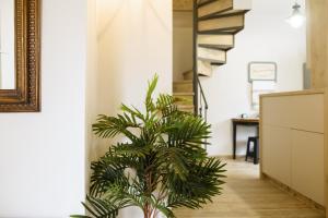 Petros n Dimi Family Home