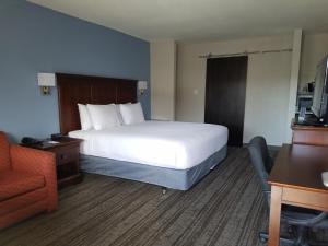 King Room - Disability Access/Non-Smoking room in Hotel South Tampa & Suites