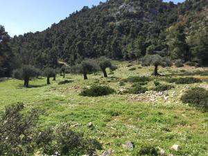 Ferienhaus-Alonissos-Griechenland Alonissos Greece