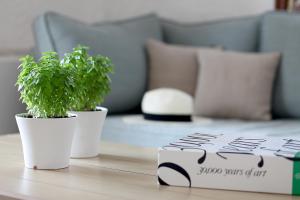 Skopelos Village Hotel Skopelos Greece