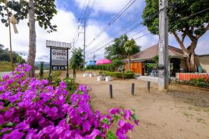 Pai Tewdoi ปาย ทิวดอย รีสอร์ท