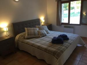 Appartements Le Chardon 1 : photos des chambres