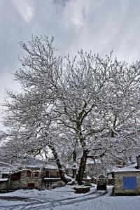 Kato Machalas Zagori Greece