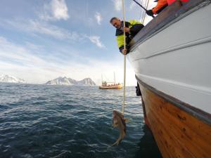 Fast Hotel Svolvær
