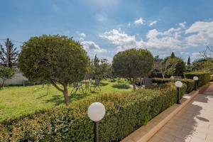 Elenis cozy apartment in Tsilivi