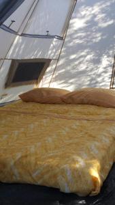 camping a selinunte (Relax fra gli ulivi)