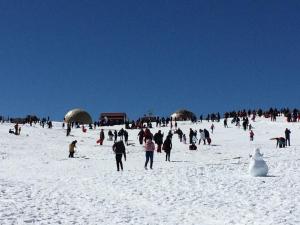 Alojamento Pelourinho