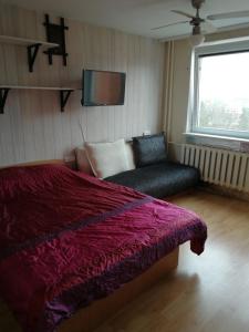 Flat, 1 room, study - 3hvězdičkové hotely ve městě Panevėžys