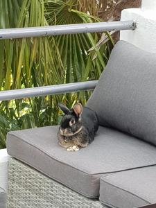 Appartement Villa LES TILLEULS