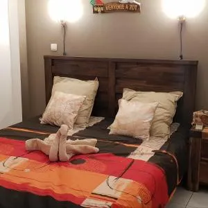 T2 confort et chaleureux (bienvenue chez zot) - La Marine