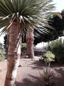 Noah Apartment Res El Chaparral