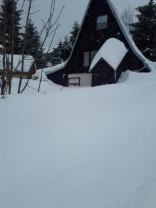 Vikendica Ferienhaus Wittmann Obervizental Nemačka