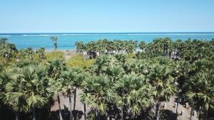 Sumba Adventure Resort