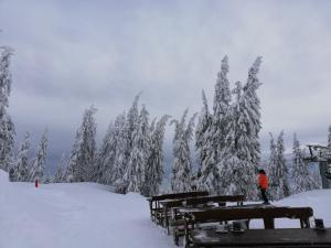 Grand Monastery - Studio Rossa