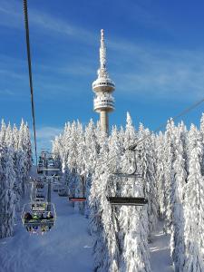 Grand Monastery - Studio Rossa