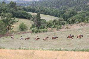 Hotels Domaine De Fraisse : photos des chambres