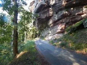 Le Petit Biscuit - Dabo