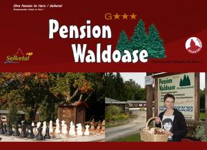 3 stern pension Pension Waldoase Hirschbuchenkopf Güntersberge Deutschland