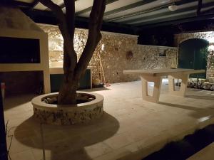 Casa olBol - Modern Apartment with Seaview and Private Large Backyard