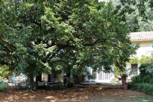 Sejours a la campagne domaine des tilleuls d'or : photos des chambres