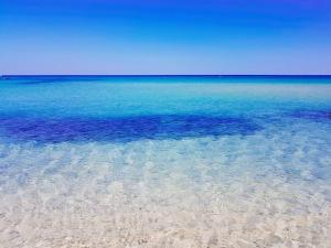 Free Beach Holiday Home