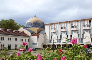 Hotels Mercure Vichy Thermalia : photos des chambres