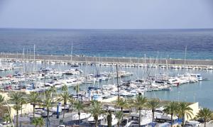 Sur Suites Palmeras 3