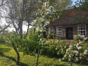 Beautiful Farmhouse in Veere with Open Fireplace