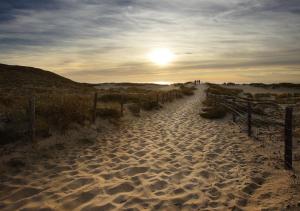 Hotels Hotel Cote Sable : photos des chambres