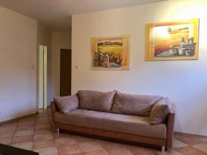 Czyżyk Międzyzdroje