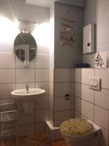 Czyżyk Międzyzdroje