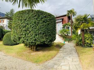 Triple Room with Garden View room in Hotel Loveno