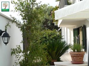 Il Giardino Delle Sete