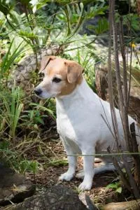 De Zoete Rust Guesthouse - Monavoni