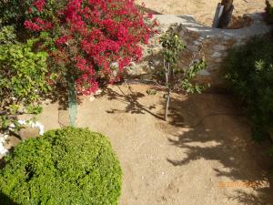 VILLA FILIP Syros Greece