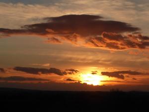 Gîte des Jonquiès, au calme vue sur le canal du midi et la mer