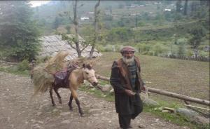 Aru Camping Resort Aru, J&K