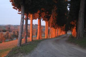 Agriturismo Colle Verde