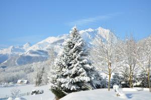 Hotels Hotel Le Picors : photos des chambres